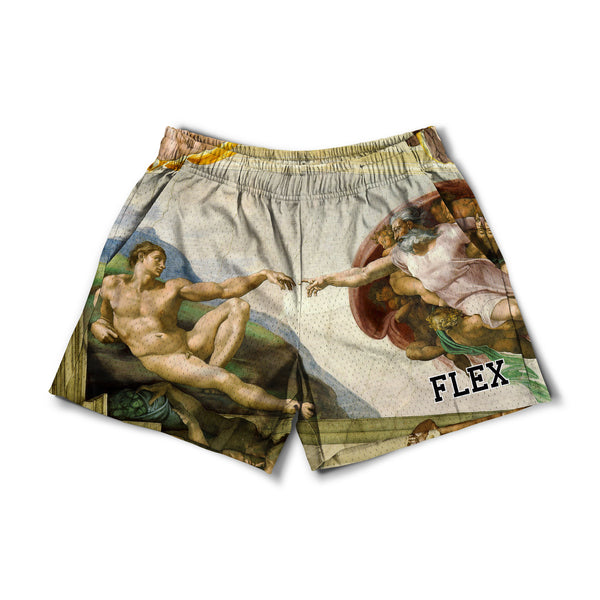 MESH FLEX SHORTS 5 – Flexliving