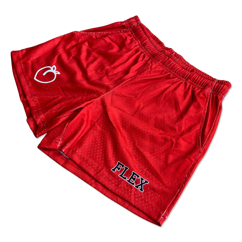 MESH FLEX SHORTS 5 – Flexliving